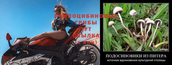 молекула духа Алексин