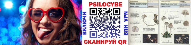 Галлюциногенные грибы Cubensis  Советская Гавань 