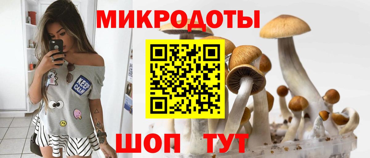Псилоцибиновые грибы ЛСД  Галлюциногенные грибы мицелий  Вход с VPN  Советская Гавань 